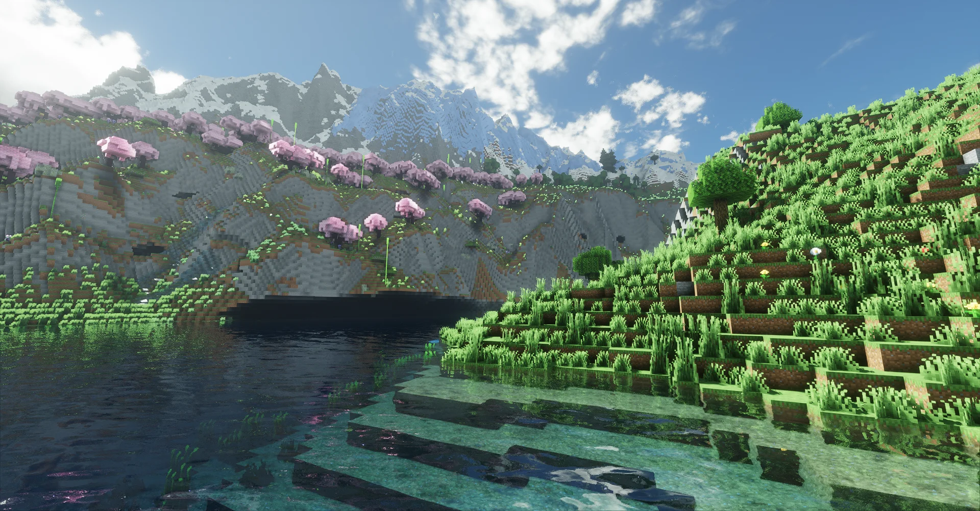 生存服生存世界2